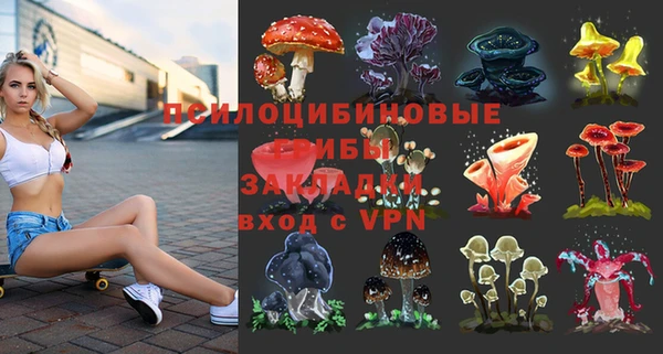 spice Белокуриха