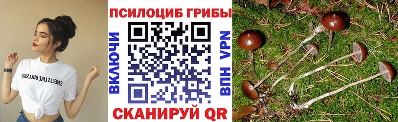 Псилоцибиновые грибы MAGIC MUSHROOMS Кохма